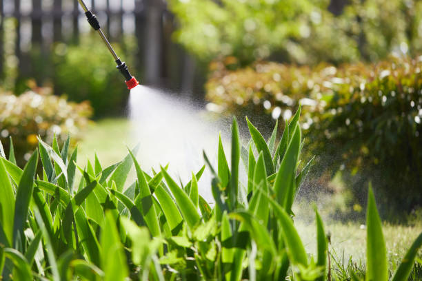 24/7 Emergency Wasp Removal experts in Heritage Lake, IN